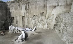 کشف اجساد ماموت هایی که 15 هزار سال پیش به دام افتادند!