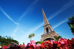 راهنمای سفر به پاریس | عروس شهرهای اروپا