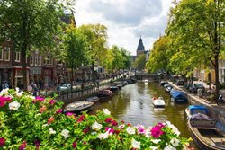 راهنمای سفر به آمستردام | شهر گل های رنگارنگ