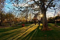 معروفترین پارک های تهران | گردش و تفریحی دلپذیر در پایتخت
