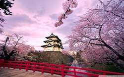 نکات مهم سفر به ژاپن که شاید ندانید