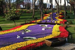 فستیوال گل لاله در پارک امیرگان استانبول