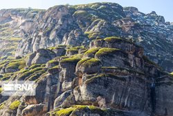 تصاویری دیدنی از مخمل کوه لرستان