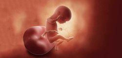 احتمال انتقال ویروس کرونا از مادر به جنین اثبات نشده است