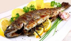 آیا مصرف ماهی خطر ابتلا به کرونا را افزایش می هد؟