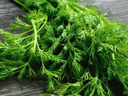 سبزی مفیدی که در روزهای کرونایی به درد شما می خورد