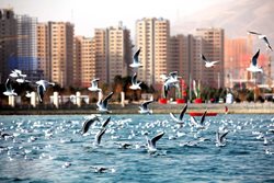 نگاهی به دریاچه خلیج فارس تهران + عکسها