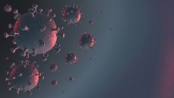 "هانتا ویروس" را بشناسیم؛ آیا ویروس جدیدی جان انسان ها را تهدید می کند؟