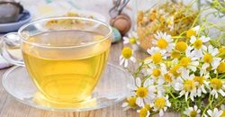 نوشیدن چای بابونه برای درمان کدام بیماری ها مفید است؟