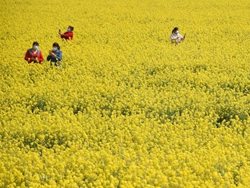 بهار در نیم کره شمالی + عکسها