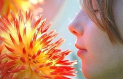 خطر انتقال کرونا از طریق بوییدن گل ها
