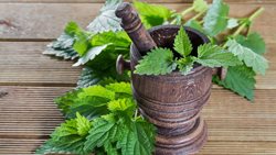 خواص جادویی گیاهی که بیماری های تنفسی را بهبود می دهد