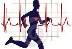 انجام ورزش در بلند مدت سبب کاهش فشار خون می شود