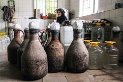 تاثیر کرونا بر صنعت عرقیات گیاهی در پایتخت گلابگیری ایران