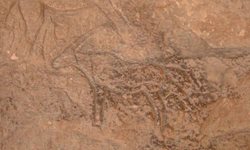 کشف غاری باستانی با سنگ نگاره های منحصر به فرد