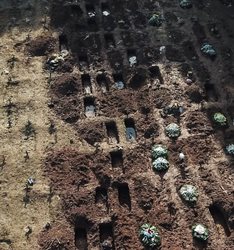 قبرستان قربانیان کرونا در برزیل + عکسها