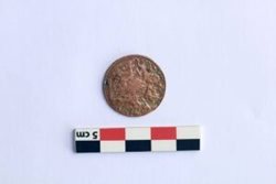 اعلام کشف یک سکه تاریخی در بندر سیراف