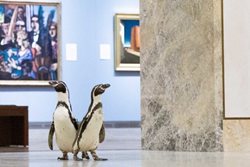 وقتی درهای موزه فقط به روی پنگوئن ها باز می شوند