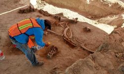 اعلام کشف بقایای حدود 60 ماموت در مکزیک