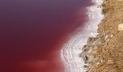 سرخ شدن دریاچه نمک قم برای اولین بار + عکس