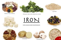 5 ماده غذایی حاوی آهن برای گیاهخواران