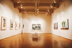 بازگشایی موسسات هنری کانادا بعد از بحران کرونا