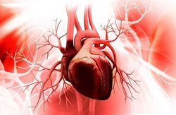 COVID-19 می تواند مستقیما بر قلب تأثیر بگذارد