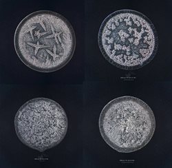 تصویری از قطره های اشک انسان زیر میکروسکوپ
