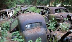 گورستان ماشین ها در دل جنگل + تصاویر