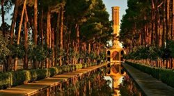 باغ دولت آباد یزد؛ زیبایی باشکوه و خیره کننده در شهری کویری