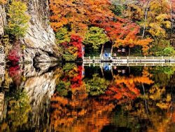 طبیعت رنگارنگ پاییز + تصاویر