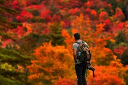 پاییز هزار رنگ در گوشه و کنار جهان + عکسها