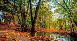 معروف ترین پارک های جنگلی تهران | تجربه ای از طبیعت سبز در پایتخت