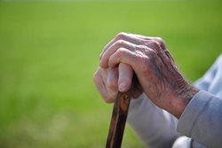 عواملی که سیستم ایمنی سالمندان را دچار اختلال می کند