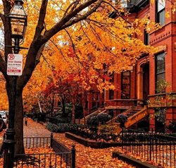 پاییز هزار رنگ رویایی + تصاویر