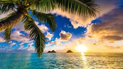 با شماری از معروف ترین جاذبه های دیدنی هاوایی آشنا شوید