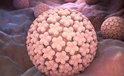 ویروس پاپیلومای انسانی درمان ندارد؛ فقط پیشگیری