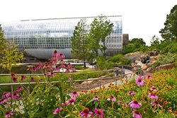 باغ های گیاه شناسی میریاد؛ دیدنی زیبا در اوکلاهاما