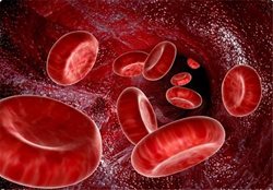 5 نشانه برای اینکه "خونتان" اکسیژن کافی ندارد