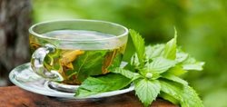 6 توصیه برای افزایش بهره مندی از چای سبز