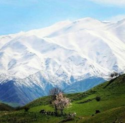 طبیعت روستای زیوه و کهنه لاهیجان + عکس
