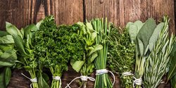 سبزی خوردن را چگونه و با چه موادی بشوییم که خوردنش بی خطر باشد؟