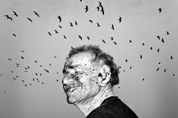 جهان درون + تصویر