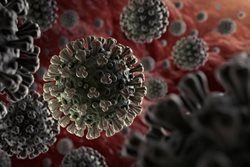 آنچه دانشمندان در مورد کروناویروس جدید می دانند