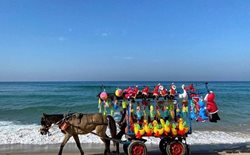 یک فروشنده اسباب بازی در ساحل شهر غزه + عکس