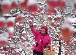 زمستان در نیم کره شمالی جهان + تصاویر