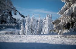 مناظر برفی زیبا در آلمان + تصاویر