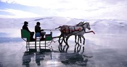 سورتمه سواری با اسب روی یخ + عکس