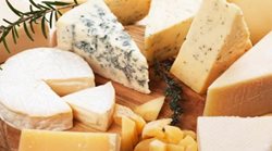خواص پنیر پروبیوتیک