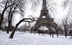 تصاویری دیدنی از پاریس برفی